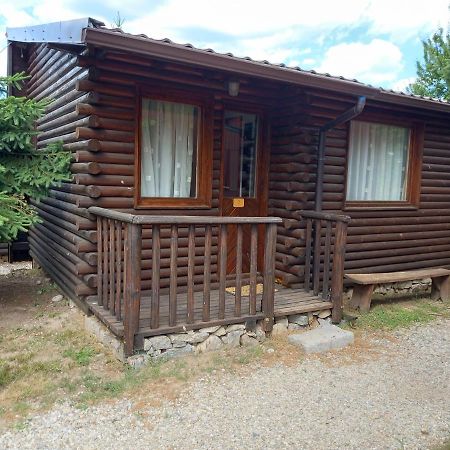 Guest House Raffe Dobriniște Exterior foto